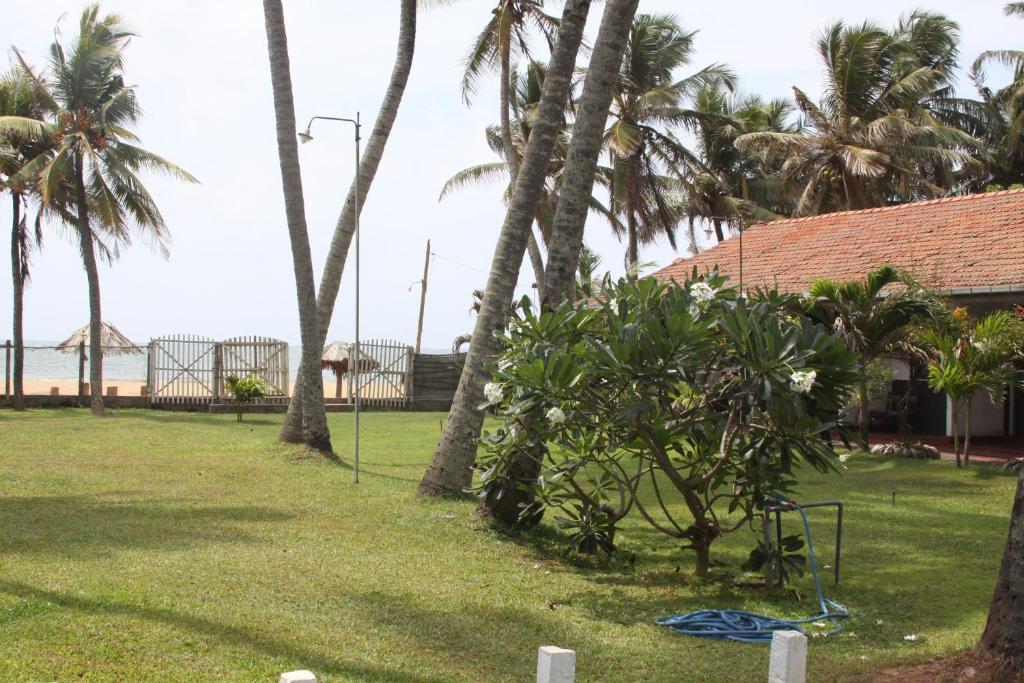 نيجومبو Ceylonica Beach Hotel المظهر الخارجي الصورة