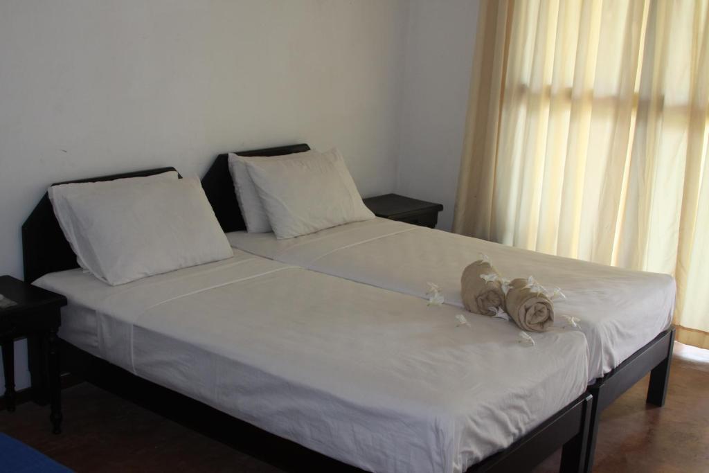 نيجومبو Ceylonica Beach Hotel المظهر الخارجي الصورة