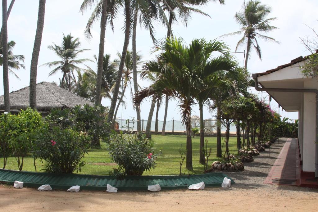نيجومبو Ceylonica Beach Hotel المظهر الخارجي الصورة