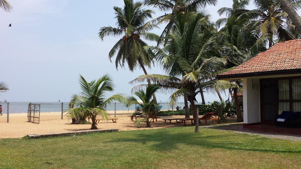 نيجومبو Ceylonica Beach Hotel المظهر الخارجي الصورة